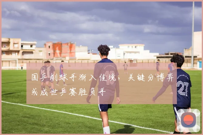 国乒削球手渐入佳境，关键分博弈或成世乒赛胜负手 - 天下足球网