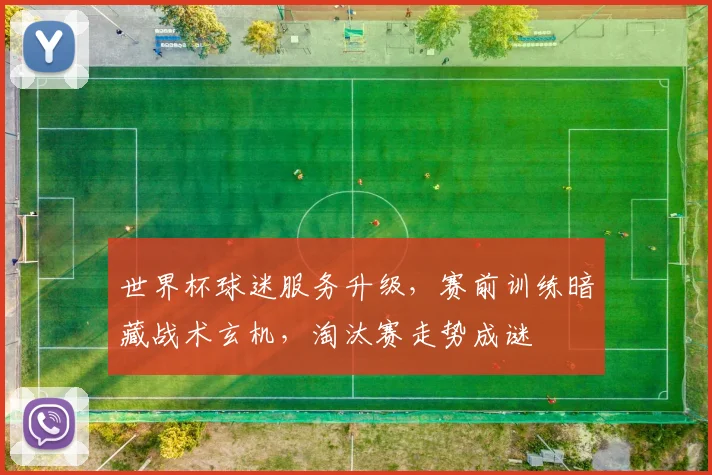 世界杯球迷服务升级，赛前训练暗藏战术玄机，淘汰赛走势成谜