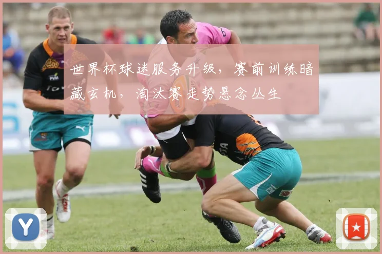 世界杯球迷服务升级，赛前训练暗藏玄机，淘汰赛走势悬念丛生