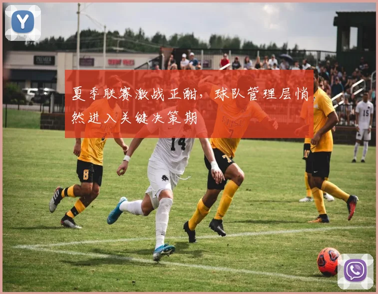夏季联赛激战正酣，球队管理层悄然进入关键决策期