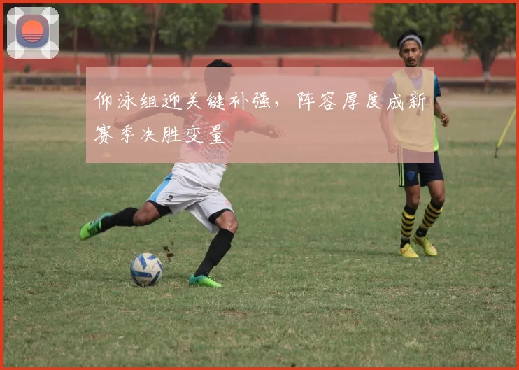 仰泳组迎关键补强，阵容厚度成新赛季决胜变量